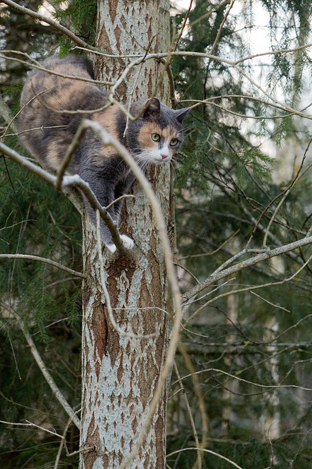 Stairway to Heaven, Highway to&nbsp;Hell