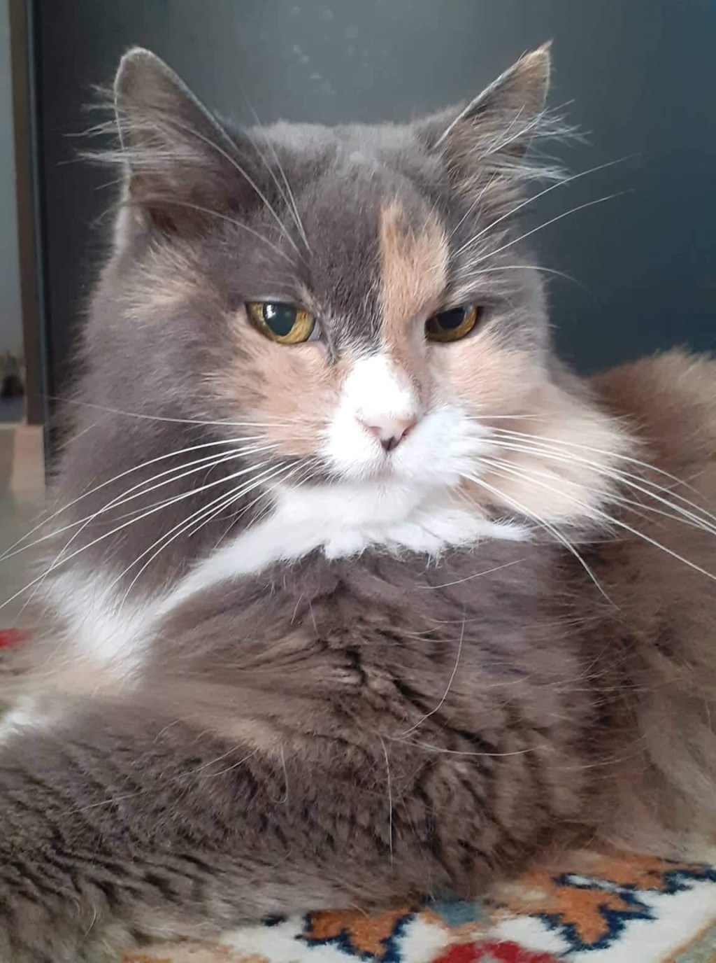 Most important topic&nbsp;ever